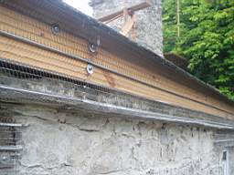 coolross 1730.jpg